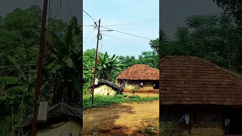 Puspa Movie location - Maredumilli Forest Andhra Pradesh #puspamovie