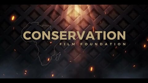 Subscribe to this channel to be part of the conservation story in Namibia.