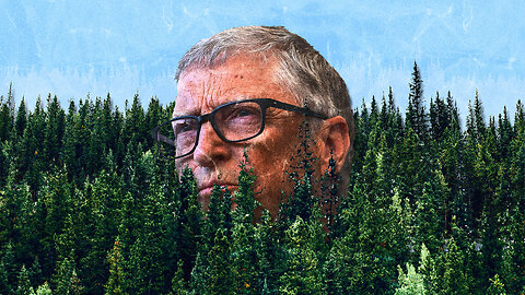 Bill Gates: “I don’t plant trees”