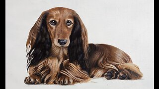HOW TO PAINT REALISTIC HAIR!! (HOW TO PAINT A REALISTIC DOG) A PAINTING BY CHRIS KEMPTER.