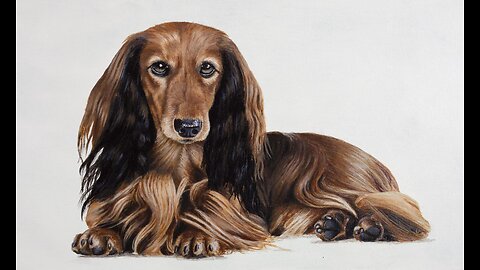 HOW TO PAINT REALISTIC HAIR!! (HOW TO PAINT A REALISTIC DOG) A PAINTING BY CHRIS KEMPTER.