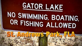 Gator Lake, St. Andrews Park, Florida