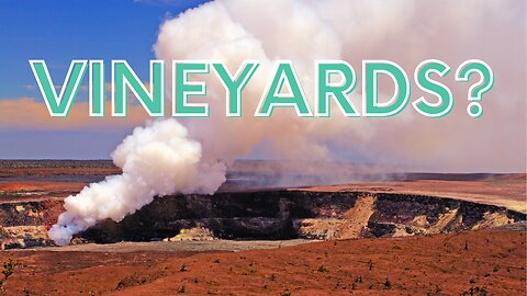 The Hawaii Winery Next to a VOLCANO!