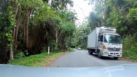 Mount Tamborine 4K Drive | Queensland - Australia