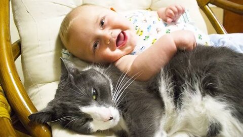 Funny baby 🤣Babies Play With Dogs And Cats