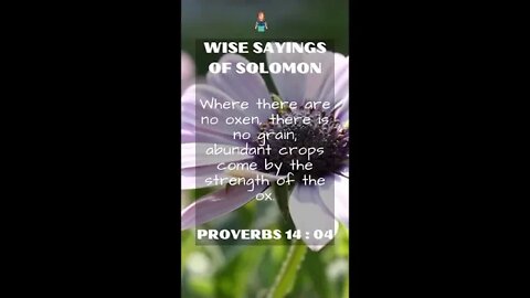 PROVERBS 14:4 | Wise Sayings of Solomon