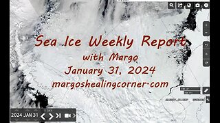 Sea Ice Weekly Report with Margo (Jan. 31, 2024)