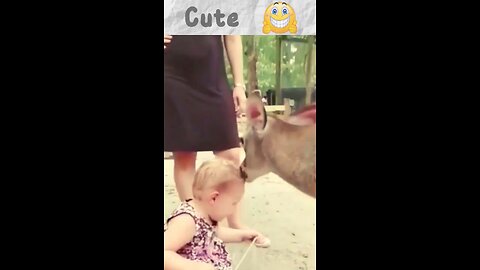 Deer And Cute Baby - Cute Moments #shortsfeed #shorts