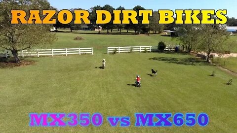Razor Dirt Bikes - MX350 vs MX650 - A Size Comparison