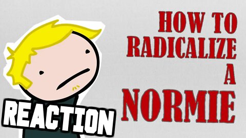 The Alt-Right Playbook: How to Radicalize a Normie | Reaction