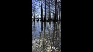 Kayaking Louisiana