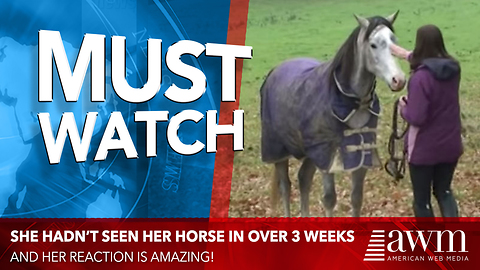 Horse Thought She Was Gone Forever, But After 3 Weeks She Returns. His Reaction Is Priceless