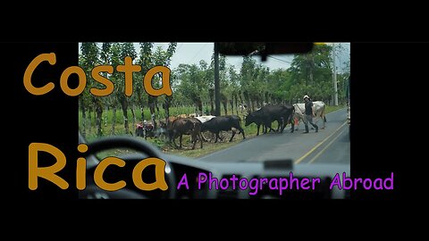 Exploring Costa Rica - A Photographer Abroad Part 1