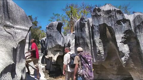 Madagascar's Hidden Labyrinth 10