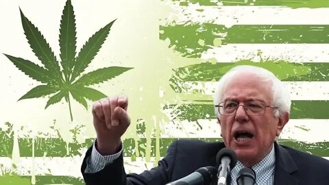 CAN BERNIE SANDERS LEGALIZE MARIJUANA ON DAY ONE? LIVE CALL IN SHOW! CALL NOW!