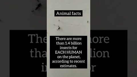 Facts about animals #shorts #psychology