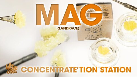 Gold Leaf Mag Landrace Raw Wax Review