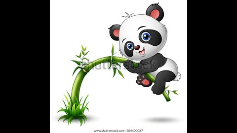 Cute and fluffy pandas playing