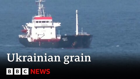 Second ship carrying Ukrainian grain reaches Turkey – BBC News