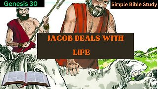 Genesis 30: Jacob deals with life | Simple Bible Study