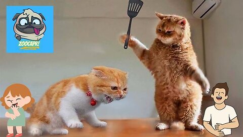 Funny & Cute Animals😂 viral videos