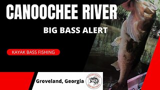 BIG BASS ALERT! Kayak Bass Fishing Canoochee River