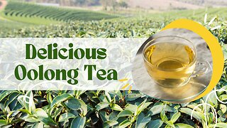The Best Oolong Tea Review | Benefits and How to Brew