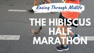 May Week 4 - Honolulu Triathlon Recap & Then Hibiscus Half Marathon