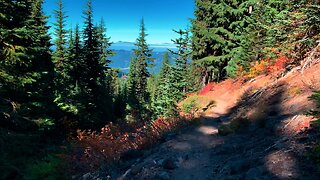 BITE-SIZED WILDS | Alpine Autumn Awesomeness @ Mount Hood! | Timberline Loop | Oregon | 4K