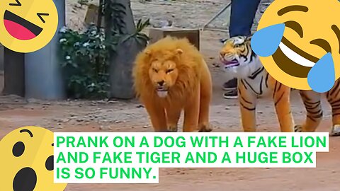 PRANK ON A DOG WITH A FAKE LION AND FAKE TIGER AND A HUGE BOX IS SO FUNNY.