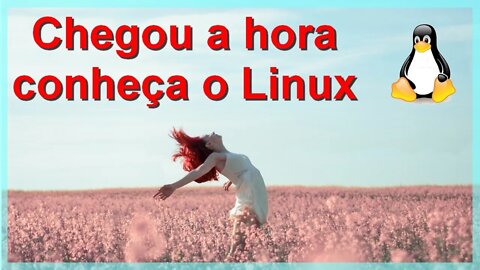 CHEGOU A HORA DE VOCÊ CONHECER O LINUX. As instalações offilne dos Windows 10 e 11 foram bloqueadas