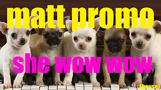 MATT PROMO - She Wow Wow (06.05.2010)