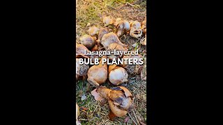 🌷Fall Bulb Lasagna Planter Made Easy 😀