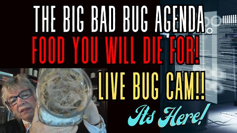 LIVE Weaponized Bug Webcam