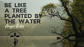 Angie Boles: Be Like a Tree Planted by the Water