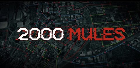 2000 Mules Trailer - How the 2020 Election was stolen