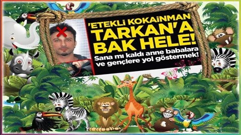 kefir tarkan hem müşrık enes karaya hemde ibliys sezen aksuya destek verip sahip çıktı tekfiyr edin