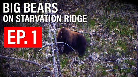 HUNTING BIG BEARS ON STARVATION RIDGE | 4k | EPISODE 1