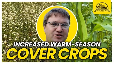 We Have Planted More Cover Crops than Ever Before for 2023
