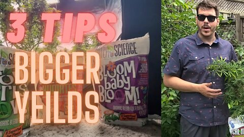 3 TIPS For BIGGER Yeilds #biggeryeilds #planttraining #TOP3TIPS