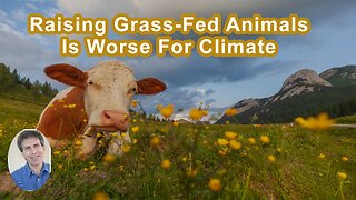 All Grass-Fed Forms Of Raising Animals Is Worse For The Climate