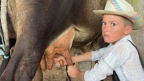 Mennonite Dad teaches son how to milk cows