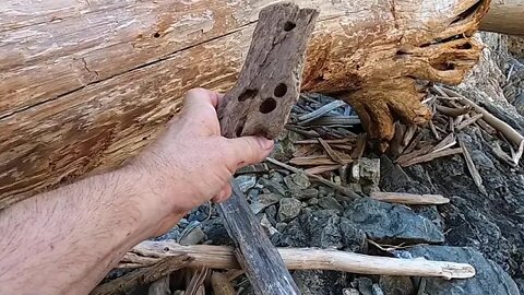 Found This Interesting Wood Piece With Holes in It!