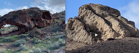 DRAGONS & MUDFOSSILS BY AREA 51 !?!?!?