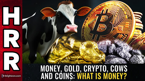 Money, gold, crypto, COWS and coins: What is MONEY?