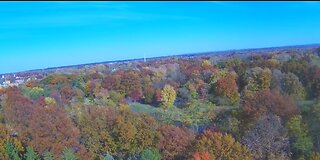 Dennis Churgovich: Drone Flight Fall Painting Wallace Lake and Metro Parks 6 min