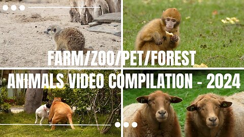 Farm-Pet-Zoo-Forest Animals Video Compilations - Heartwarming Encounters