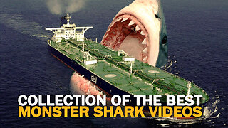 Monster Submarine Shark Caught on Tape - 2023 Documentary Collection of Best Sightings