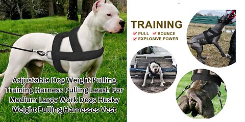 Adjustable Dog Weight Pulling Training Harness Pulling Leash For Medium Large
