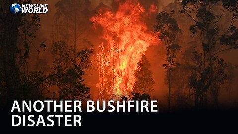 Australians flee their homes as bushfires rip across NSW, Queensland